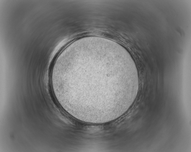 X0000112920102200909211101
