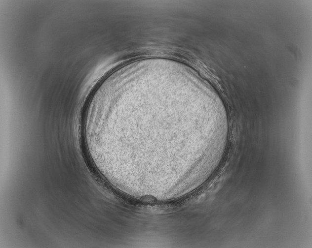 X0000112920103200909211101