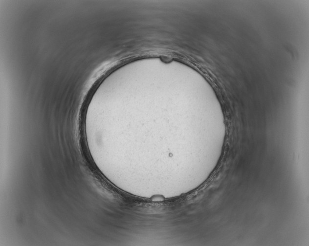 X0000112920104200909211101