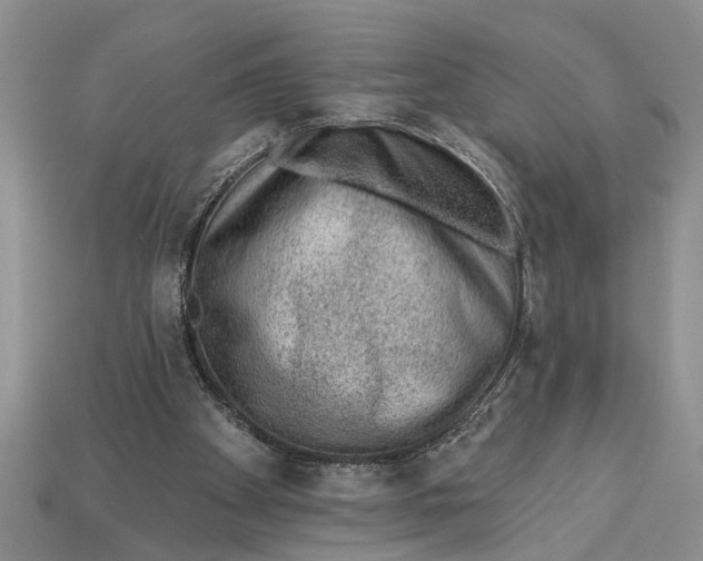 X0000112920105200909211101