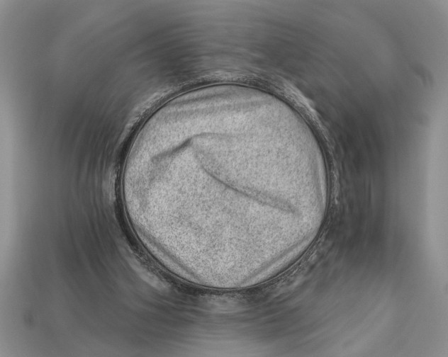 X0000112920106200909211101