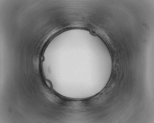 X0000112920108200909211101