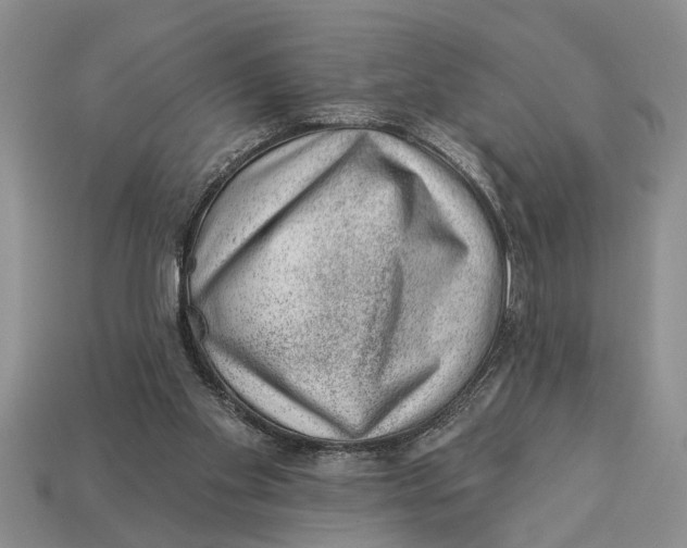 X0000112920109200909211101