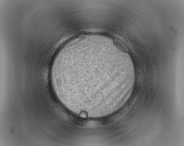 X0000112920111200909211101