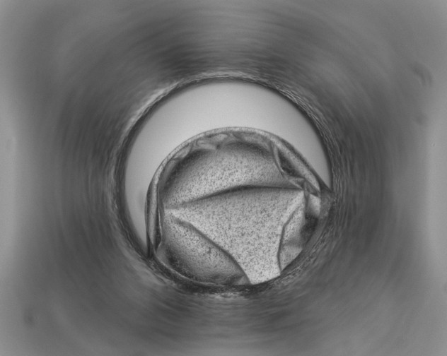 X0000112920112200909211101