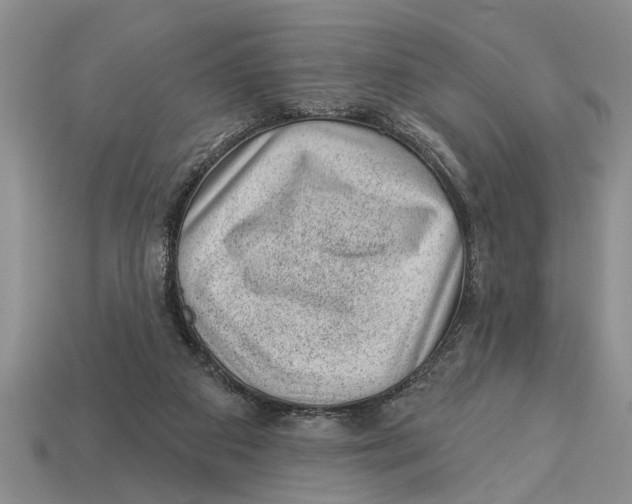 X0000112920113200909211101