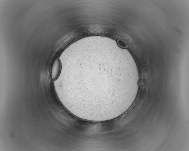 X0000112920116200909211101