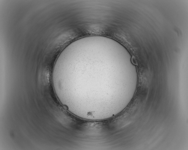 X0000112920117200909211101