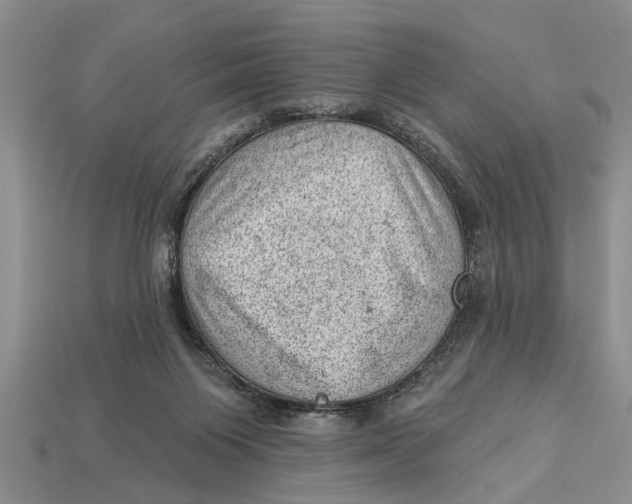 X0000112920119200909211101