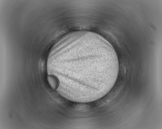 X0000112920123200909211101