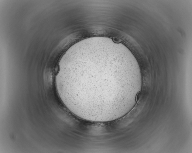 X0000112920124200909211101