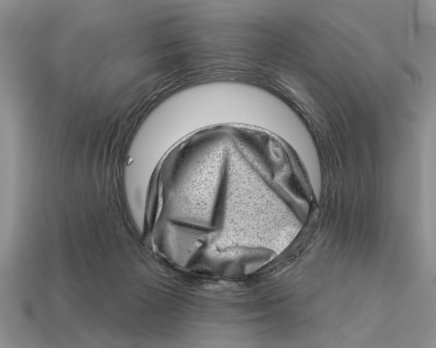X0000112920125200909211101
