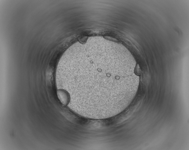 X0000112920127200909211101
