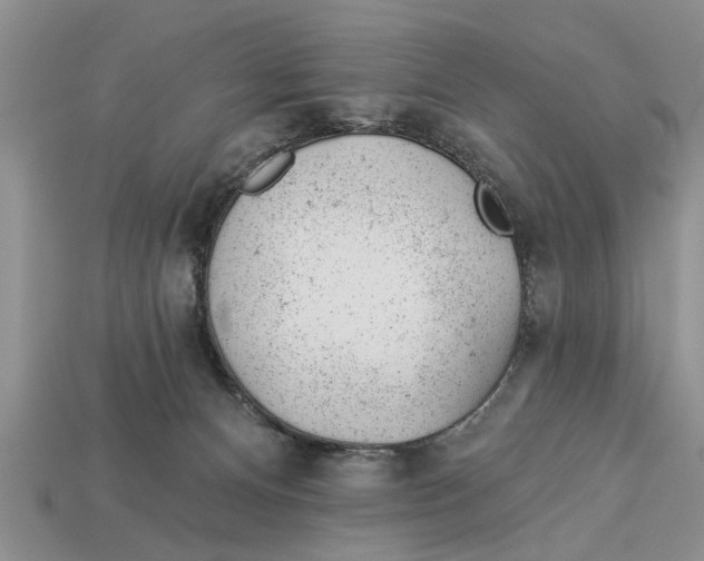 X0000112920128200909211101