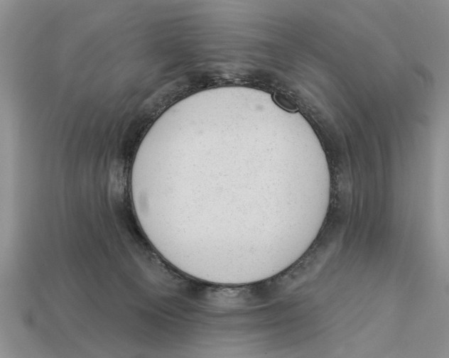 X0000112920129200909211101