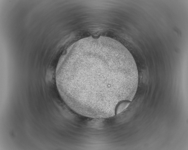 X0000112920138200909211101