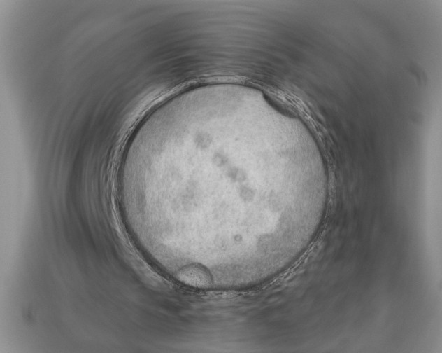X0000112920145200909211100