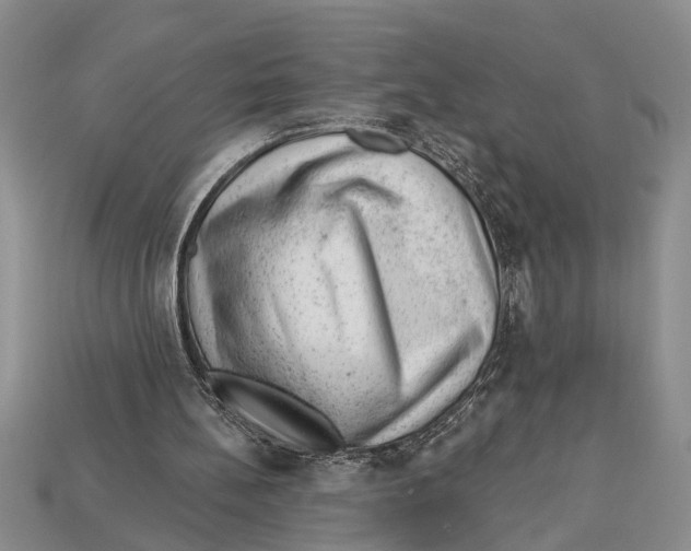 X0000112920148200909211100
