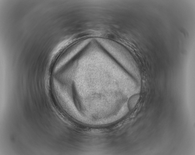 X0000112920149200909211100