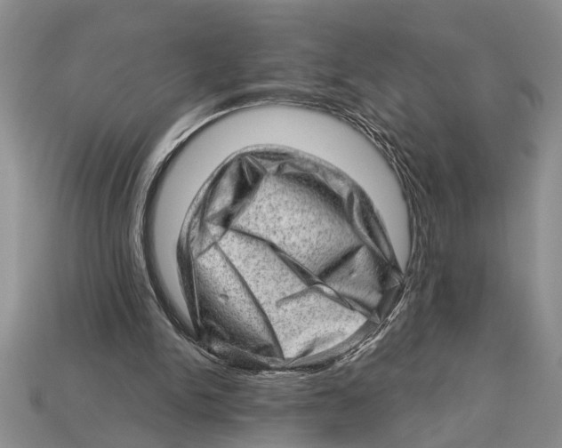 X0000112920150200909211100