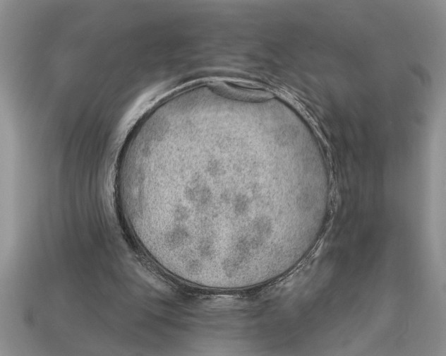 X0000112920151200909211100