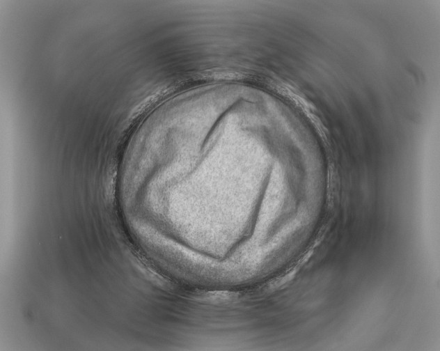 X0000112920153200909211100