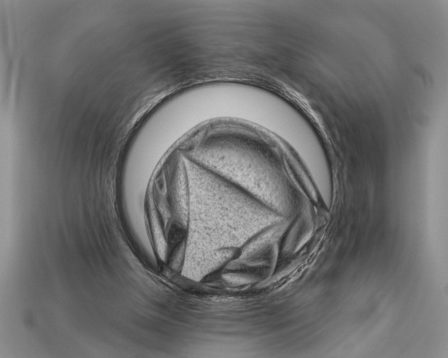 X0000112920154200909211100