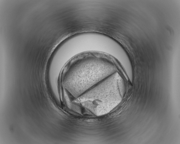 X0000112920156200909211100