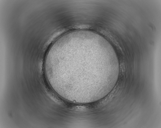 X0000112920159200909211100