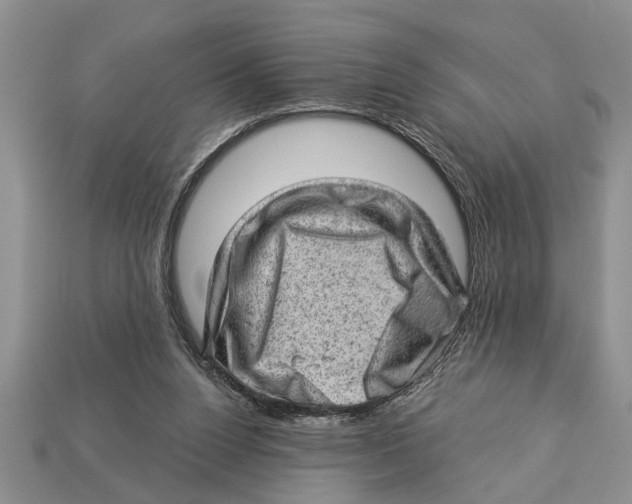 X0000112920160200909211100