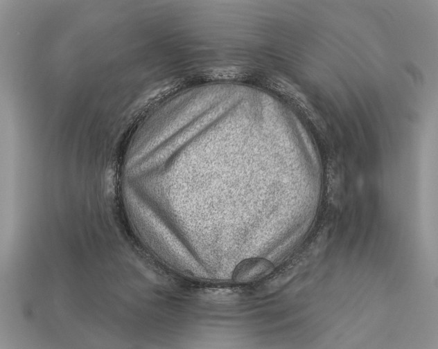 X0000112920161200909211100