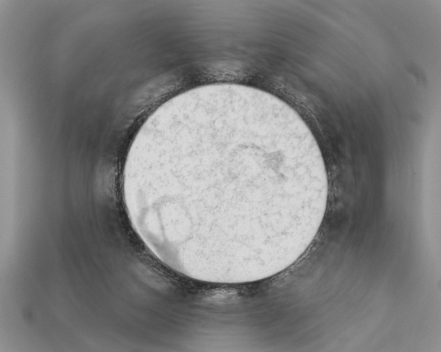 X0000112920162200909211100