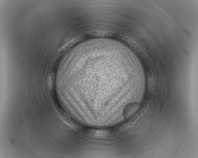 X0000112920165200909211100