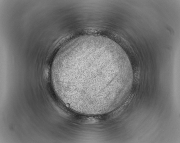 X0000112920166200909211100