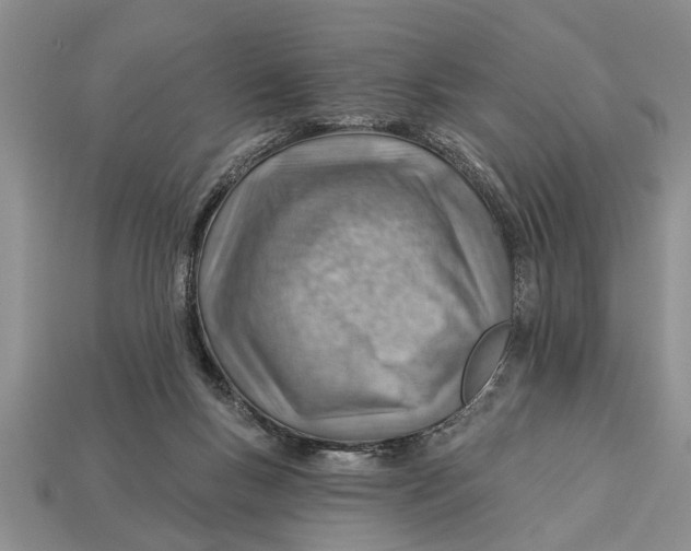 X0000112920167200909211100