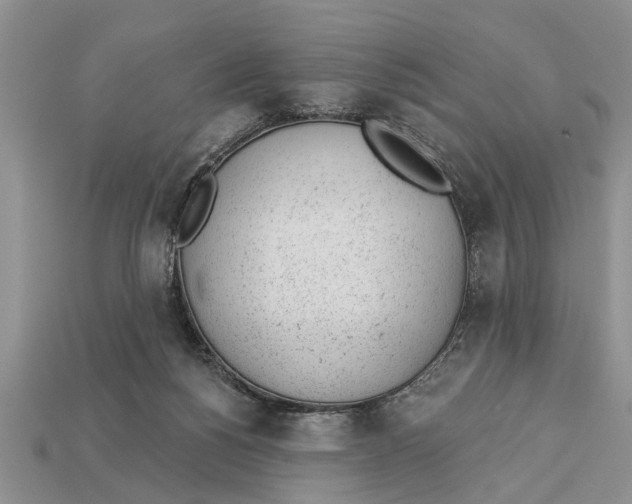 X0000112920168200909211100