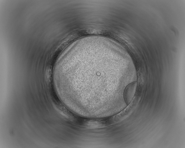 X0000112920171200909211100