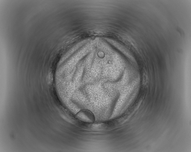 X0000112920173200909211100