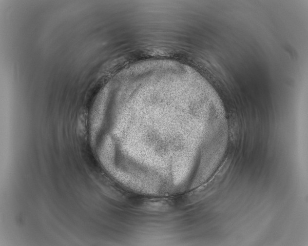 X0000112920175200909211100