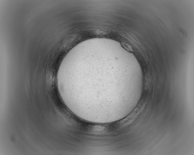 X0000112920176200909211100