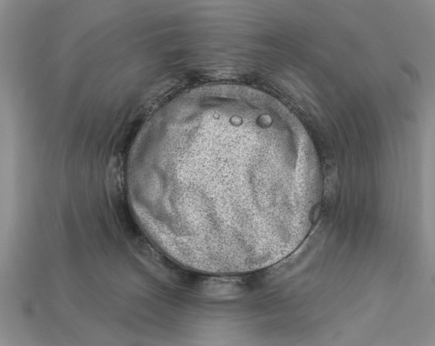 X0000112920179200909211101