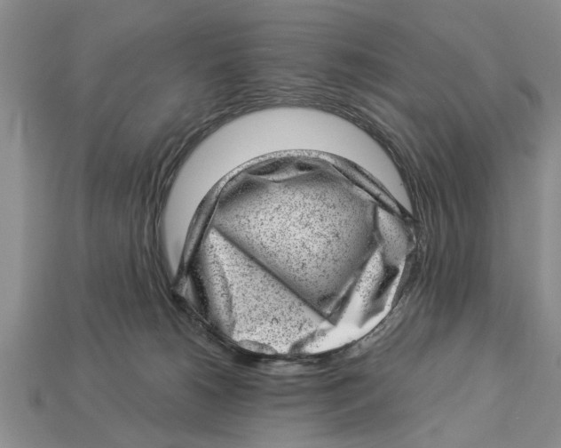 X0000112920180200909211101