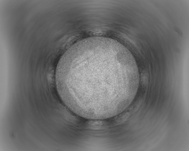 X0000112920181200909211101