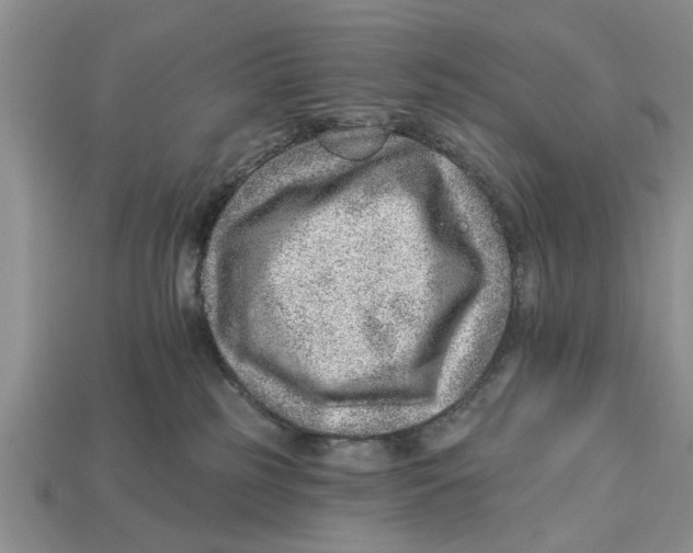 X0000112920185200909211101