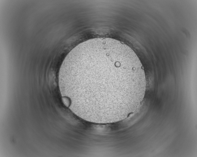 X0000112920187200909211101