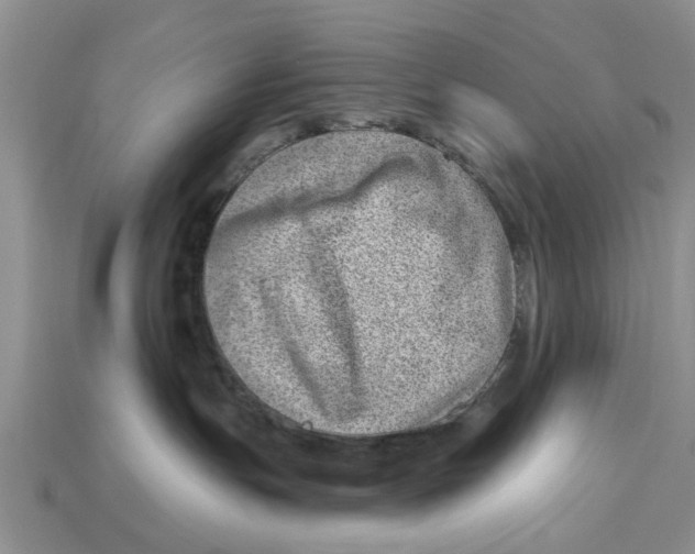 X0000112920191200909211101