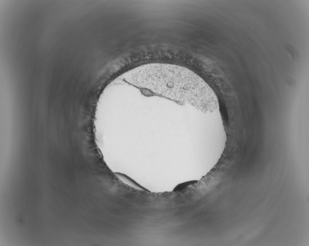 X0000112920192200909211101