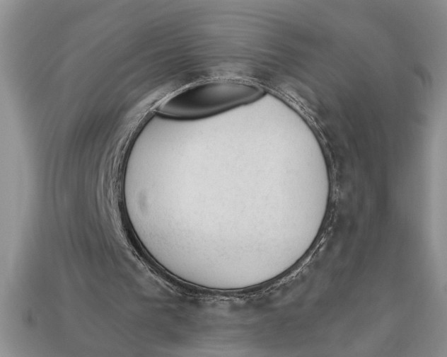 X0000112920193200909211100