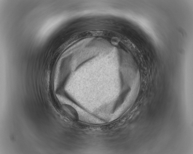 X0000112920194200909211100