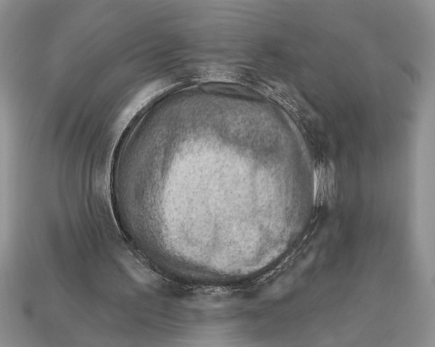 X0000112920195200909211100